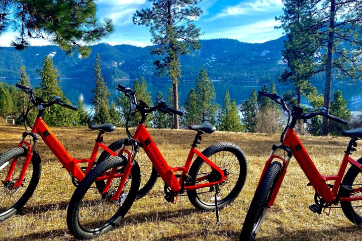 a bicycle is parked next to a forest